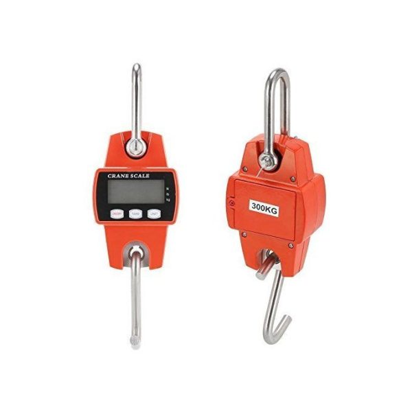 300kg mini crane