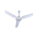 King Fan